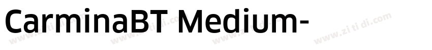 CarminaBT Medium字体转换